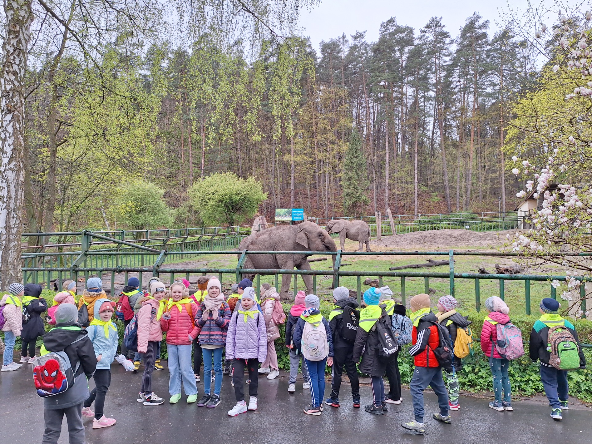 Wycieczka do Ogrodu Zoologicznego w Gdańsku - Obrazek 6
