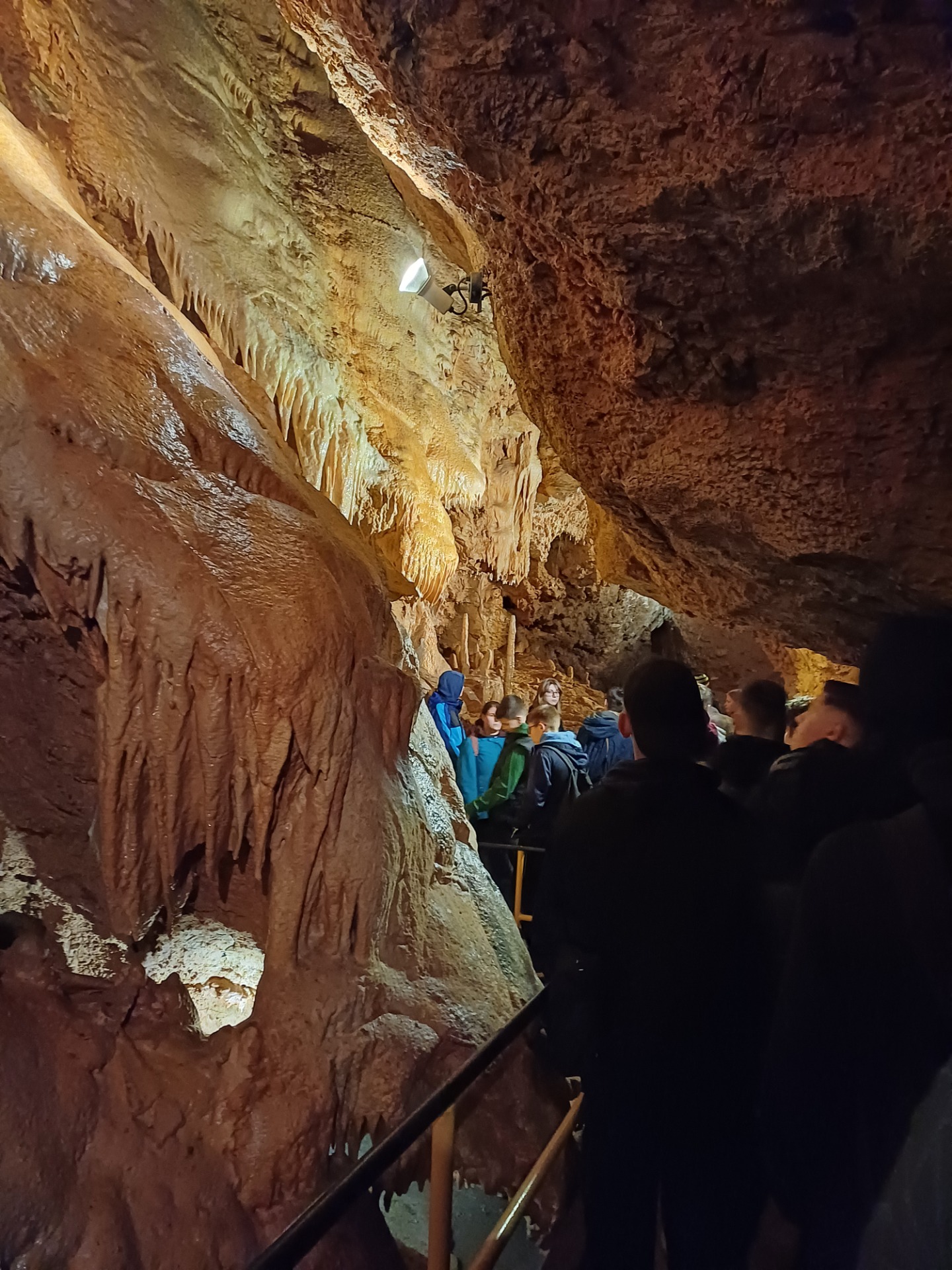 Exkurzia - Jaskyňa Driny a Včelovina Smolenice - Obrázok 2
