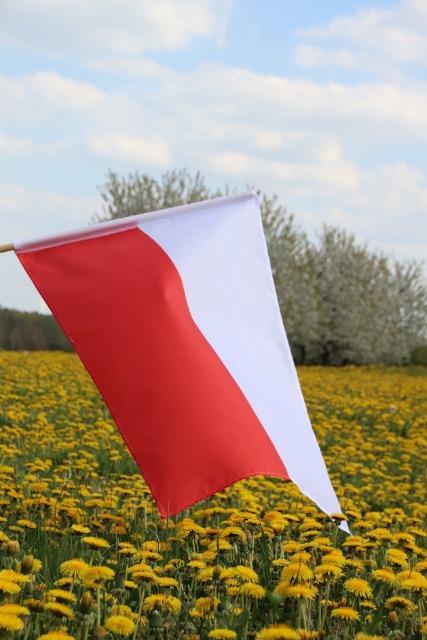 2 Maja - Dzień Flagi Rzeczypospolitej Polskiej - Obrazek 2
