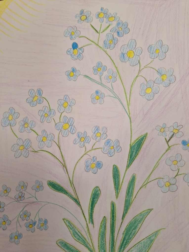 Na obrazku namalowane niezapominajki - niebieskie drobne kwiatki