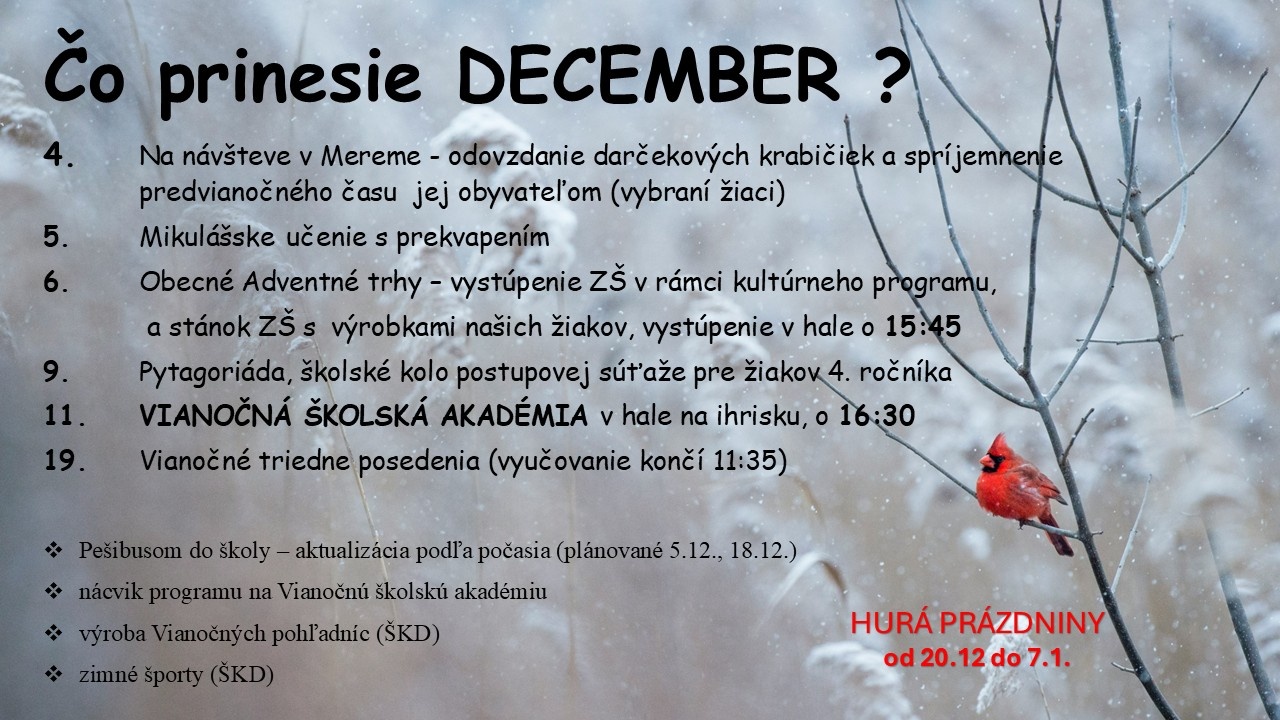 Plánované celoškolské aktivity - Obrázok 1