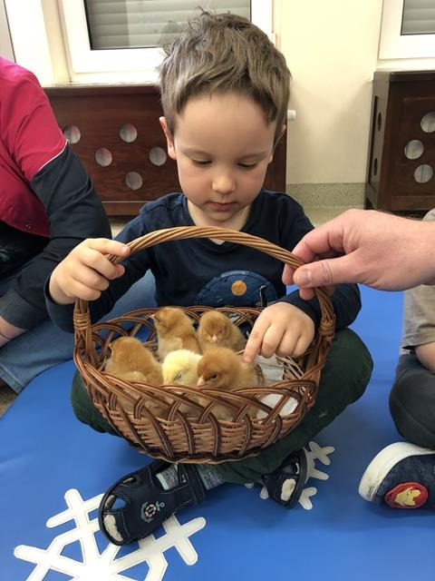 dziecko z koszykiem z kurczaczkami