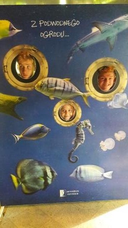 I spL w Oceanarium- flora i fauna podwodnego świata i warsztaty z anatomii ryby - Obrazek 5