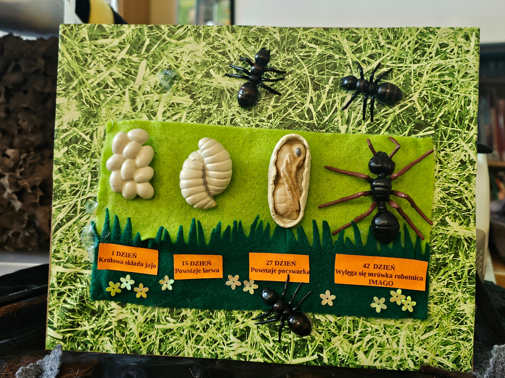 Warsztaty przyrodnicze „Tajemniczy świat owadów – pszczoły i mrówki” - Obrazek 2