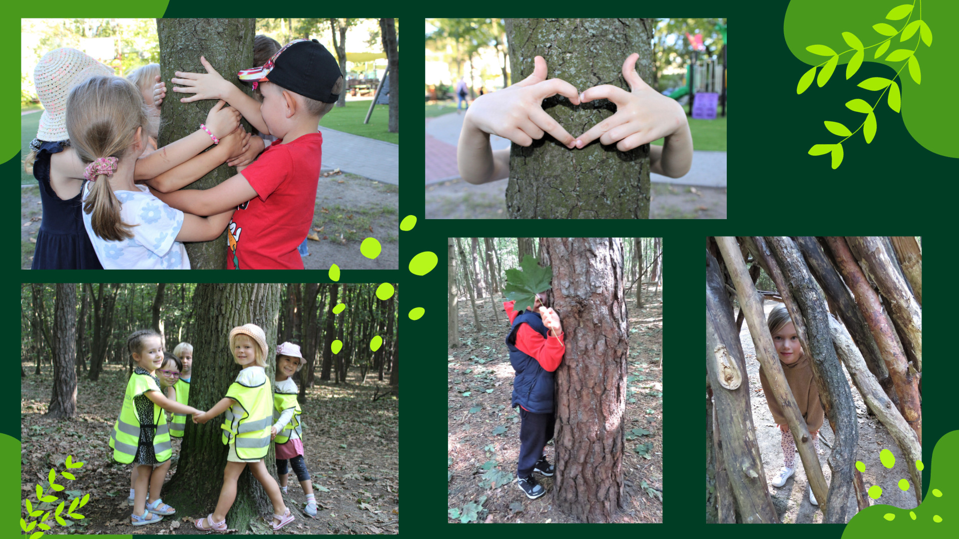 Kolaż zdjęć ukazujący dzieci przytulające drzewo, układające z dłoni serduszko na pniu drzewa, otaczające drzewo.