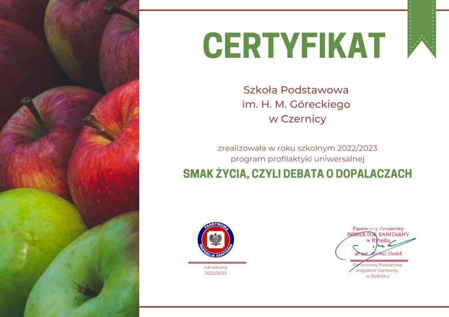Certyfikat dla szkoły - Obrazek 1