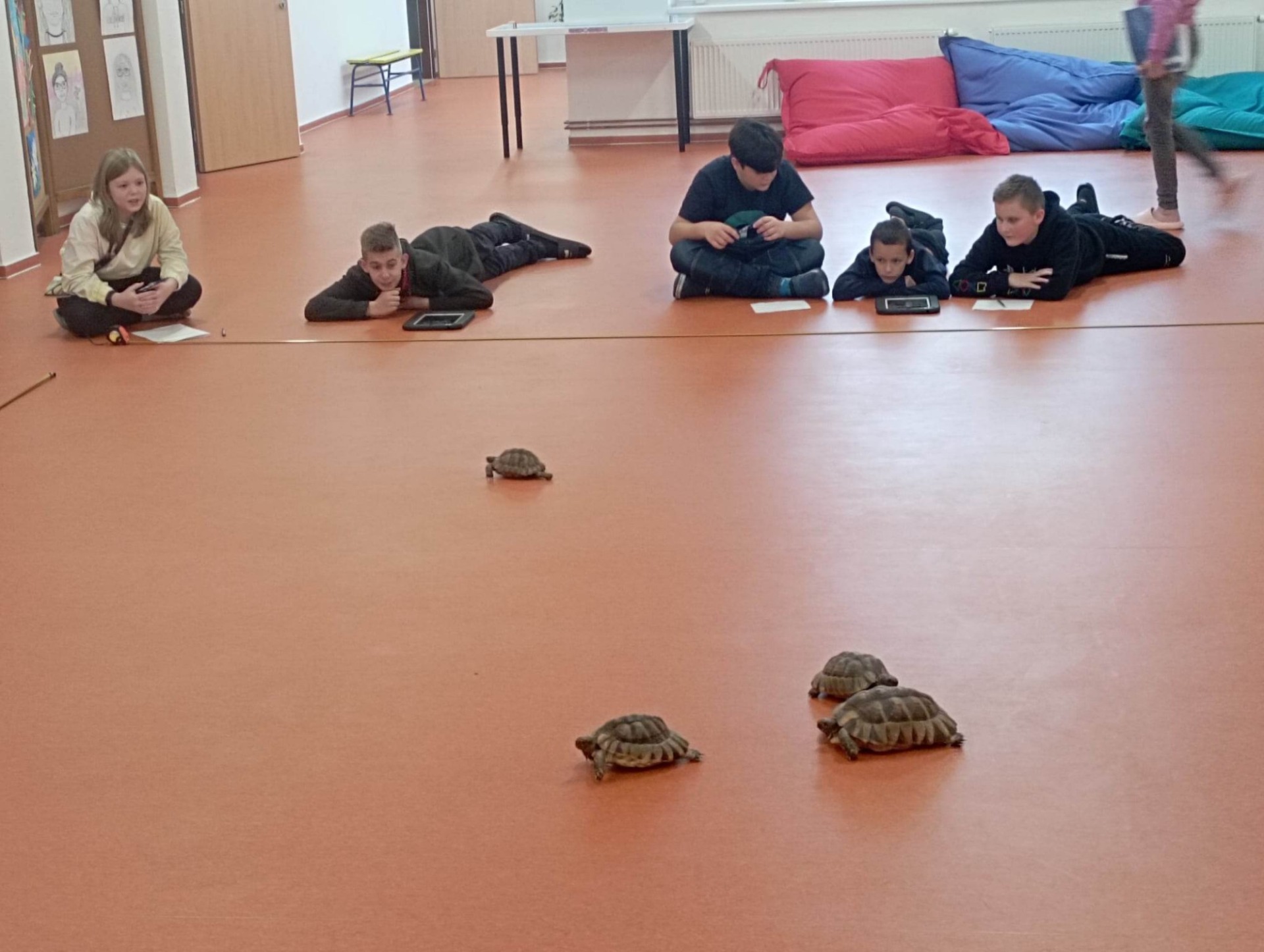 Projektové vyučování s želvami v 6. třídě - Obrázek 3
