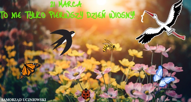 21 marca to nie tylko pierwszy dzień wiosny! - Obrazek 1