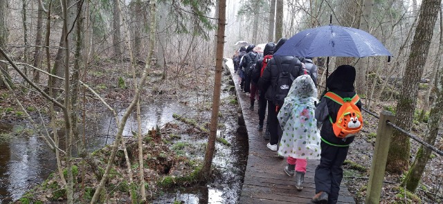 20 dzieci idzie kładką leśną pod którą płynie rzeczka, chłopiec i dziewczynka z tyłu idą pod parasolem.
