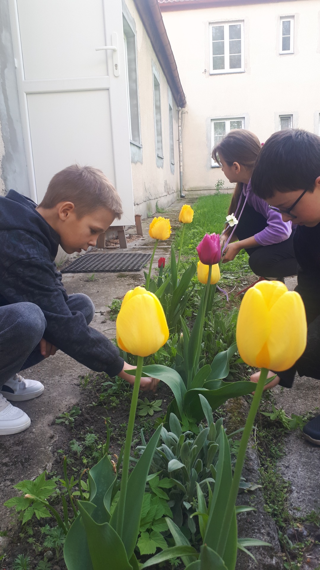 Wiosenne prace w ogrodzie szkolnym - Obrazek 1
