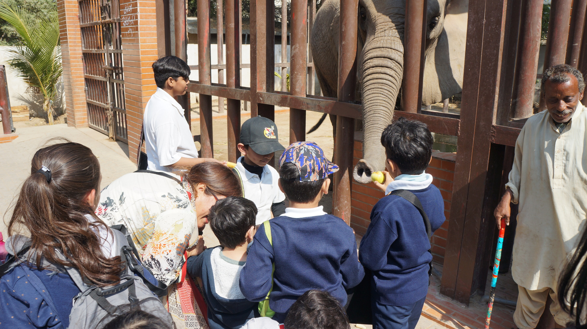 Primary's Trip to the Zoo - Image 2