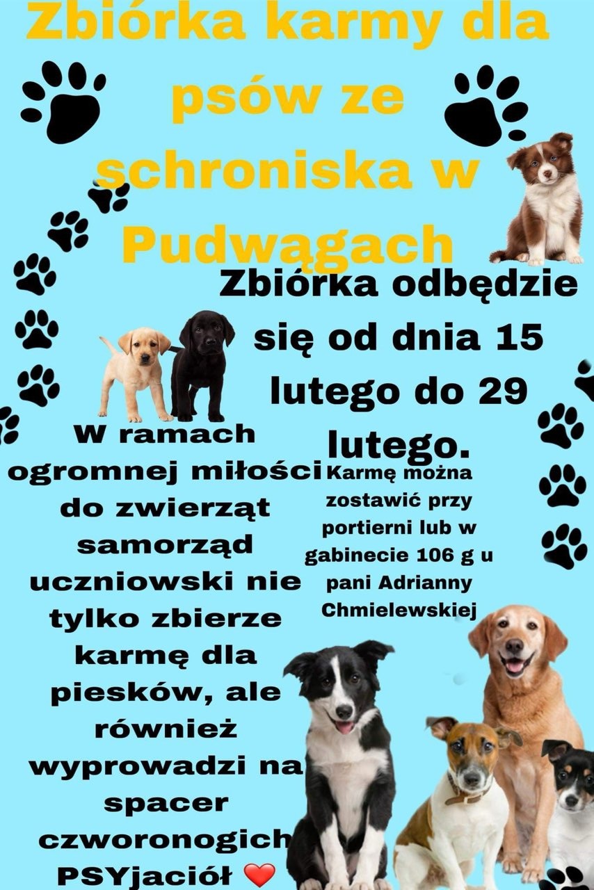 Zapraszamy do udziału w zbiórce karmy dla psów ze schroniska w Pudwągach - Obrazek 1