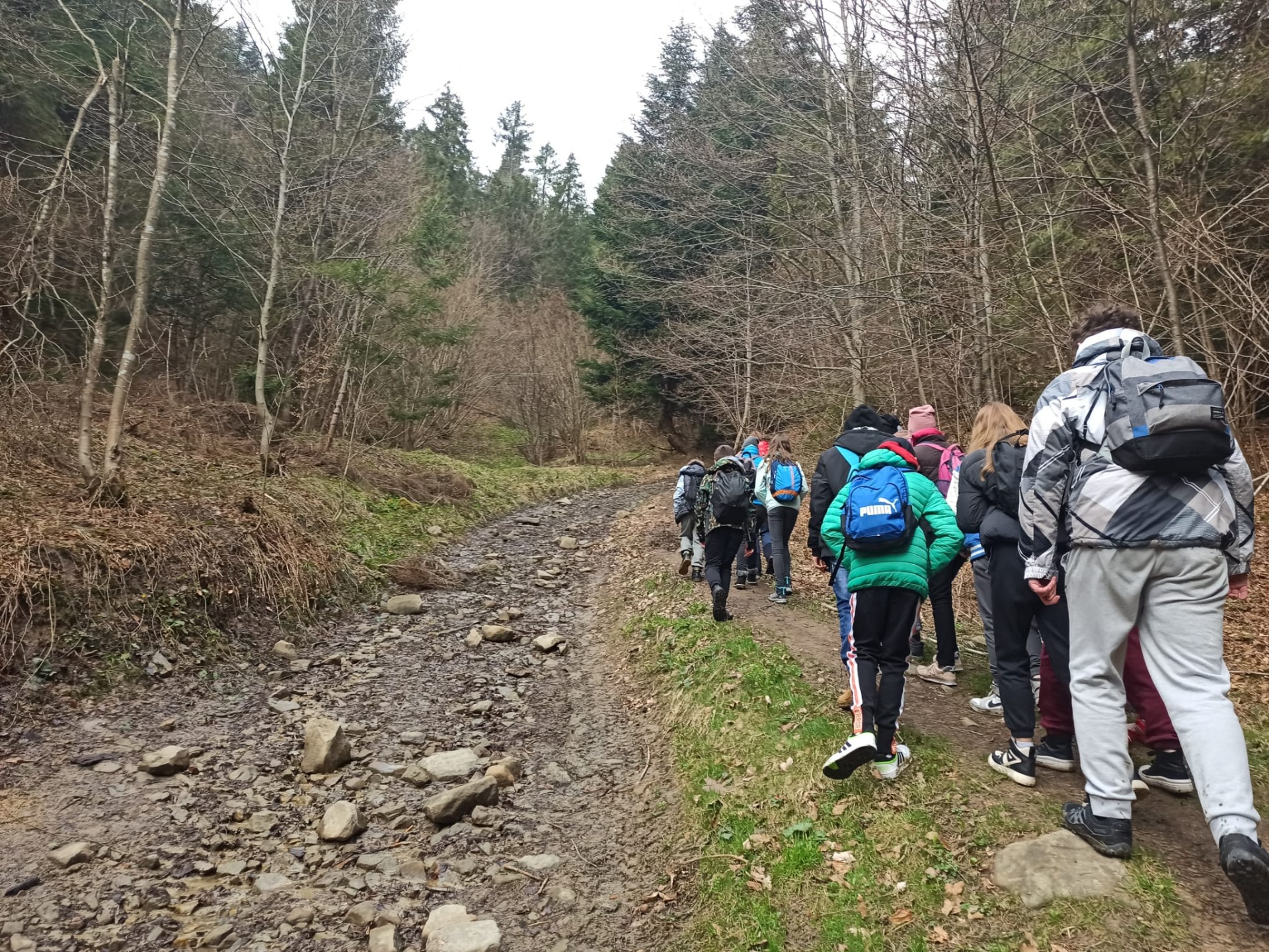 Grupa dzieci idzie szlakiem górskim na Bereśnik przez las.