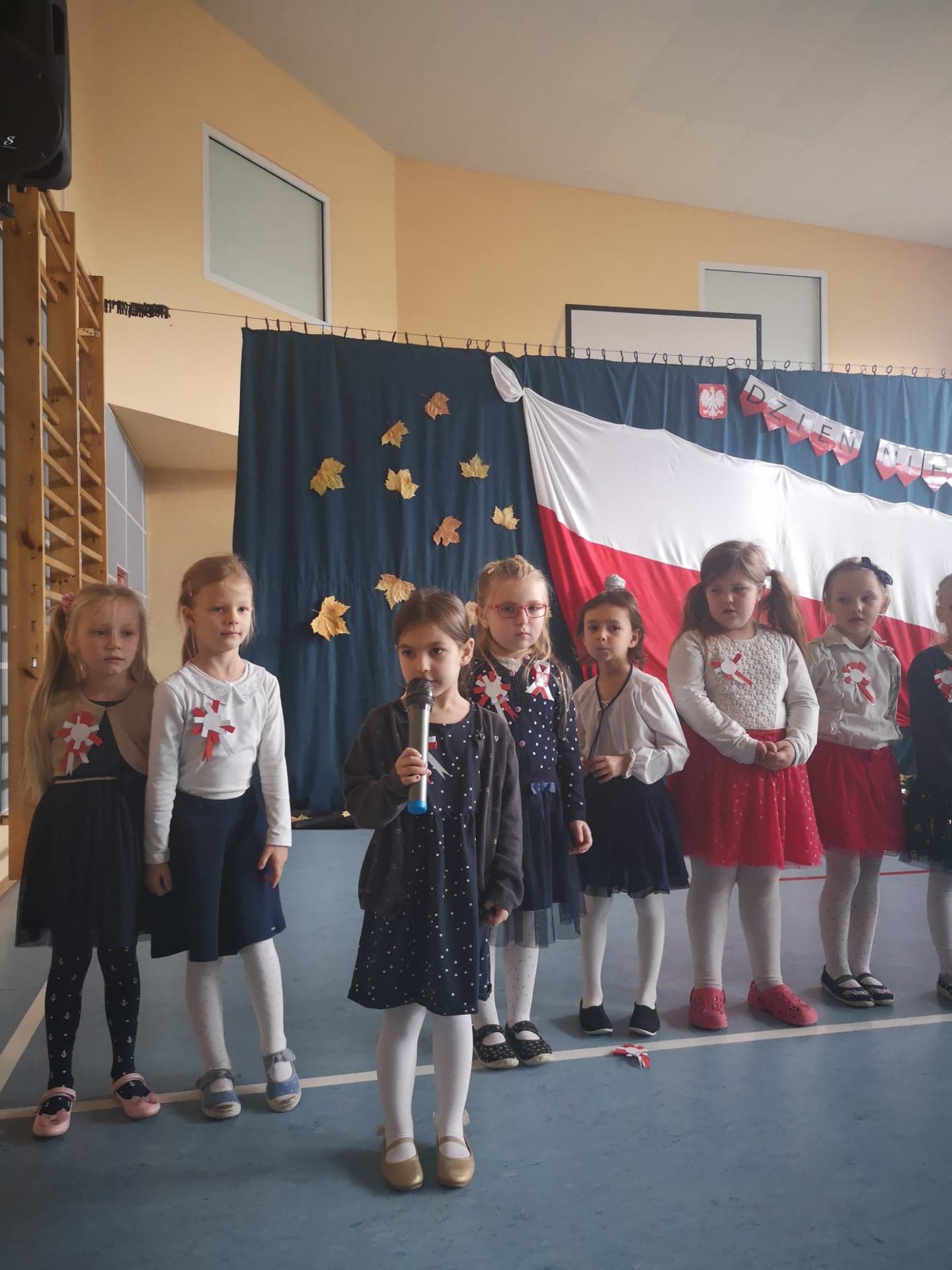 Słowem i piosenką świętujemy Dzień Niepodległości w ZSP Cerekwica - Obrazek 3