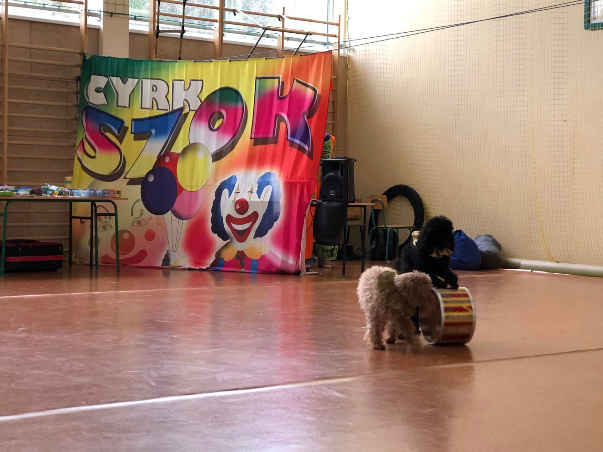 Ukraiński cyrk „Szok” w naszej szkole. 🎪🤹🏻‍♀️ - Obrazek 3