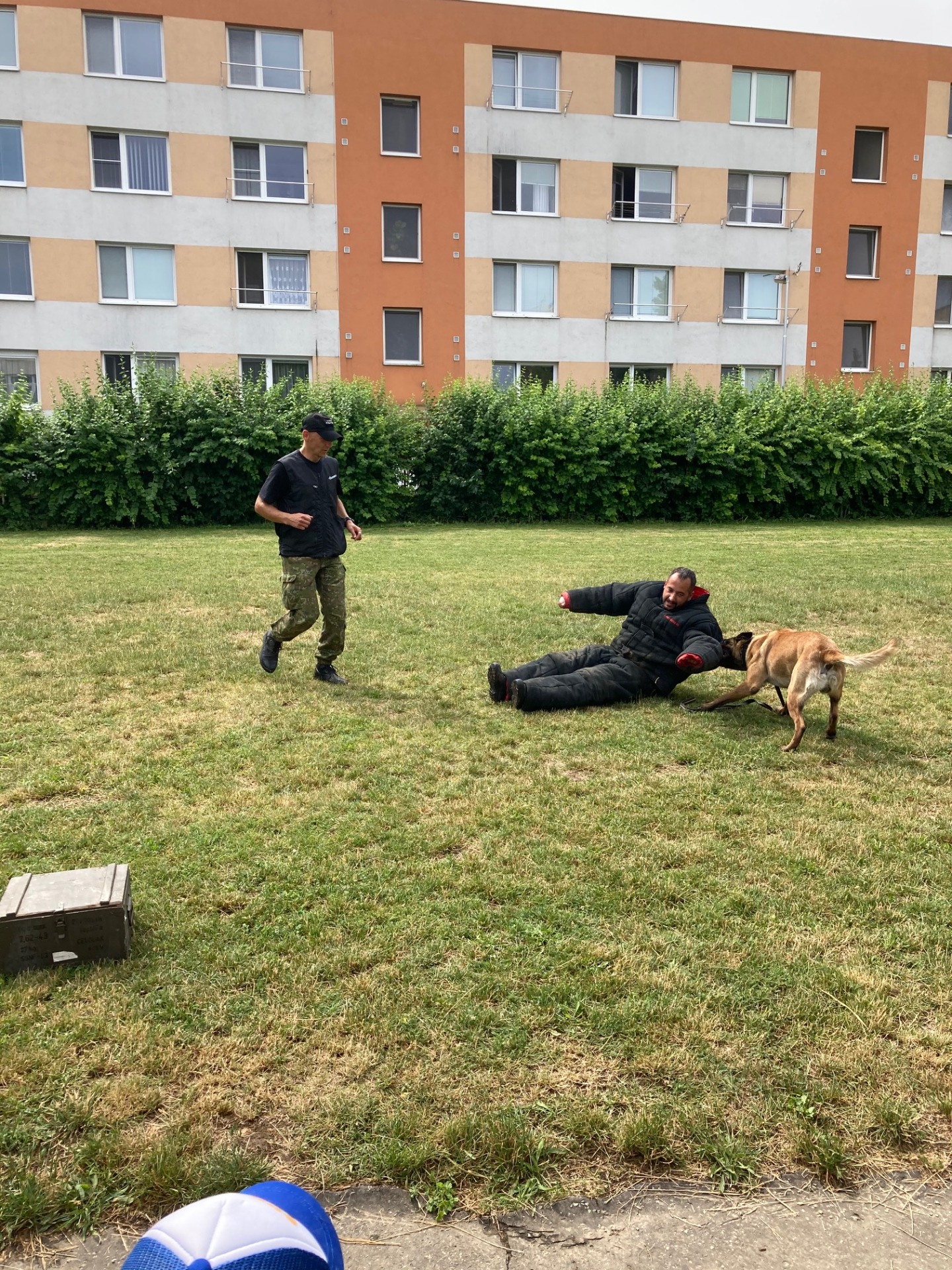 Ukážka výcviku psov vojenskej polície - Obrázok 7